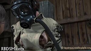 The cutie gets dominated and sucks cock in bdsm scene