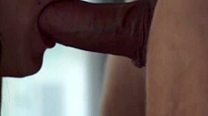 Fit Brunette Slut Picked Up at Gym for Rough Sex in Villa