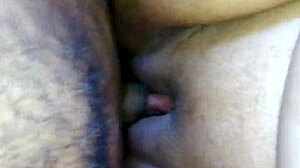 Casal Jhon E Alice Share Amateur Moments Together