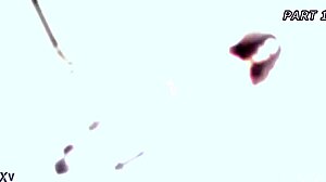 Stacy bloom is unbreakable 1 4on1 balls deep anal monster buttrose squirt drink creampie swallow gio1933