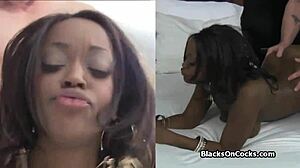 Curvy bigtit black amateur hard fucked on casting