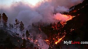 Multiversal asian family reunion at mylflove