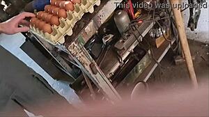 The farmer guy feels convinced to try a blowjob