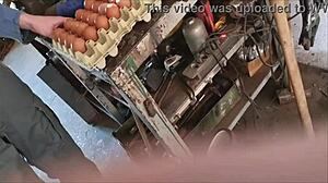 The farmer guy feels convinced to try a blowjob