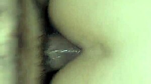 rico anal to my latina wife bent over in doggystyle, teasing that mexican ass?