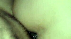 rico anal to my latina wife bent over in doggystyle, teasing that mexican ass?