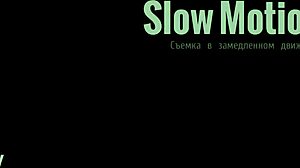 Look At This Torso Ass Getting Fucked By A Silicone Toy!