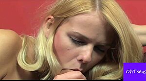 Zdenka and Ratibor have a meeting in the office with some friendly interaction