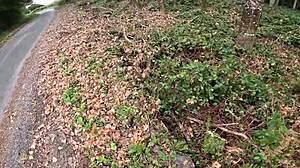 Whoa, I surprised this girl in the forest while jerking off and she joined in for outdoor fun