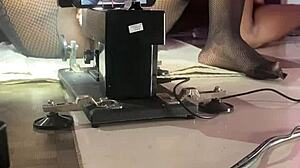 does the black porn star fuck the sex machine