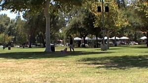 blonde chick gets fucked hard and cumshot