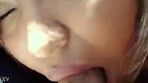 project002: an intriguing exploration of cock sucking in various styles