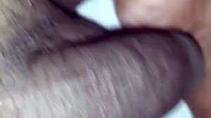 Man plays with huge black monster cock close up