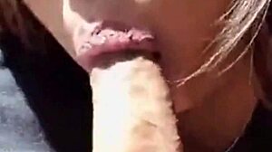 project002: an intriguing exploration of cock sucking in various styles