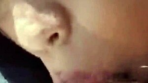 project002: an intriguing exploration of cock sucking in various styles