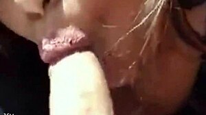 project002: an intriguing exploration of cock sucking in various styles