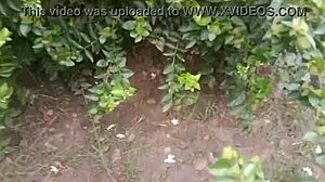 Amateur brunette housewife homemade porn video with husband in flower garden