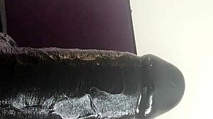 i'm sexy girl stephanie james in champs