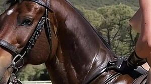 Becoming A Cougar - Chapter 3 - Practical Works - Part 1 - Ai Illustrated Leather Porn Dream