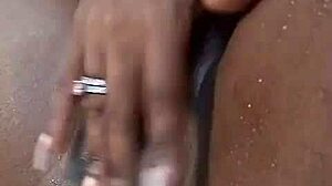 Juicy fruit offers refreshing taste and vibrant colors