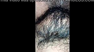 casero real mexicano