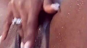 Juicy fruit offers refreshing taste and vibrant colors