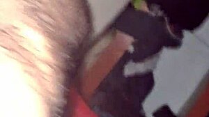 on april 15, my birthday, there's a flashing gift for me