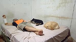 Dancer Rides Cousin's Dick With Wet Pussy Bounces!