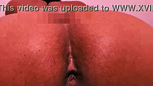 Black Nymph Masturbates And Does Anal Assfucking Solo