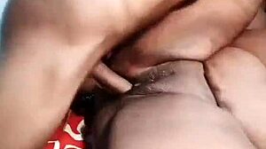 nigarchrist update 1439 petal 20250617 134007 jun 17 2025