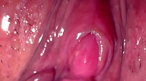 Amateur Asian Wife's Pink Pussy Licked Close-Up, 195 Days Post-Virginity