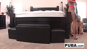 Abigail Dominates Then Sticks Toy In Leya Falcons Ass