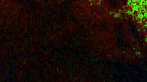 Latina performs oral with enthusiasm