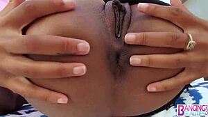 exotic ebony asian evanni solei gets interracial anal