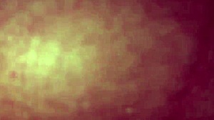 Me Traje Una Turista A Mi Hostal Y Terminamos Follando En El Baño