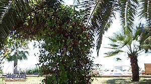 Whoa, this cute teen is deepthroating grandpa outdoors then riding his old cock hard in the open air