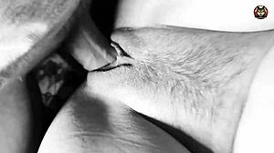 closeup of tight pussy fucking and cumshot