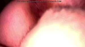 Sexy bbw throwing back dat fat ass