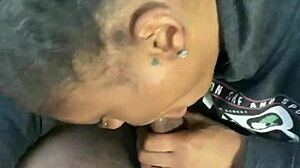 Ebony Princess Blowjob!