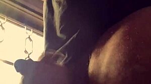 Bad Wolf28 feels overwhelmed by lluvia de penes in uncensored session