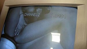 i suck a big black dick through the glory hole for revenge