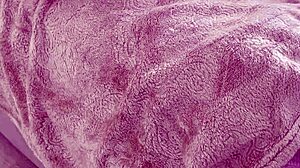 Ass And Pussy Massage Ended With Hot Creampie In Pussy