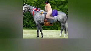 i just updatd my profile with new stuff on april 13 2025, it's the latest update number 17 or something like that