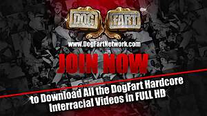 I watch Ashley Aleigh deepthroat many white cocks in blowbang