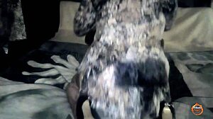 klaudiaambergirl masturbation 9, feeling the intense pleasure