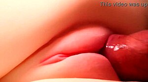 Her perfect pussy shaped for anal and handjob