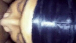 Pretty bbw gets head from amateur rookie surprisingly