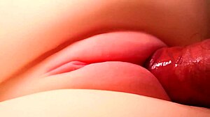 Her perfect pussy shaped for anal and handjob