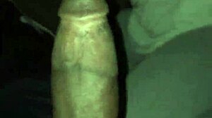 She says, Pull over for some road head.