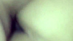 Cojiendo Toda La Noche Hasta Terminar Seco Video Completo Red Y Sheer!